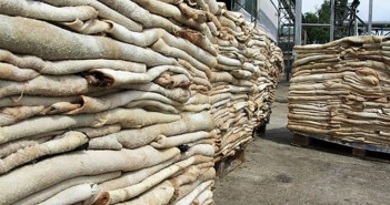 The costs of protectionism: Zimbabwe gives tax reliefs to companies that struggle because of taxes on leather exports