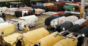 In March, Brazil exported more leather than in the first quarter of 2016. CICB: “One of the best results in recent years”