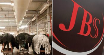 Brasile, per JBS Couros tagli in vista: diminuiscono i turni di lavoro, oltre 500 posti a rischio