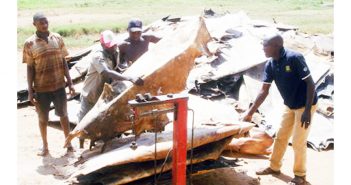 Tanzania: il protezionismo è un boomerang. Le concerie locali non ce la fanno, il grezzo marcisce in magazzino
