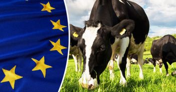 Brussels, meat industry abandons the Meat Pilot of the Single Market for Green Products project