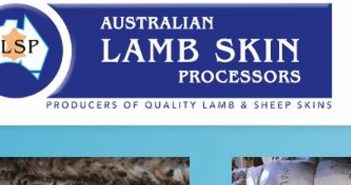 Australia, acquisizioni nell’ovicaprino: Auslamb Skin Exports compra la conceria ASLP con magazzino e dipendenti
