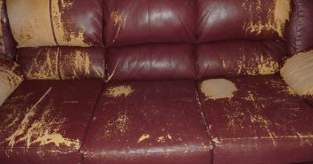 “If you look for leather, take the full grain one”: flip through Associated Press handbook and skip upholstery rip-off