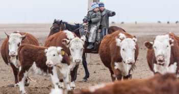 Intanto Astana lavora per diventare una big della carne: investimenti governativi per 400 milioni e accordo con Pechino per l’export
