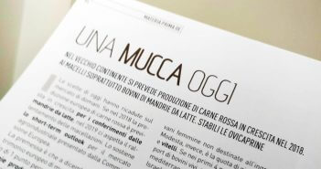 Una mucca oggi
