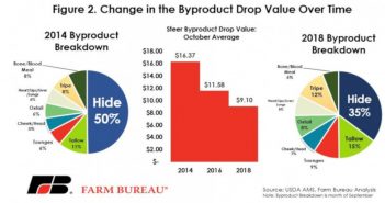 USA, l’allarme di Farm Bureau: il calo della pelle grezza azzoppa il giro d’affari dei byproduct zootecnici